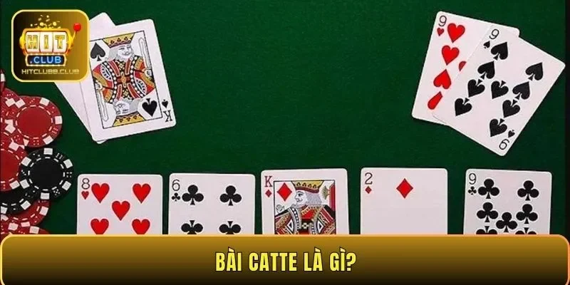 Bài Catte là gì?